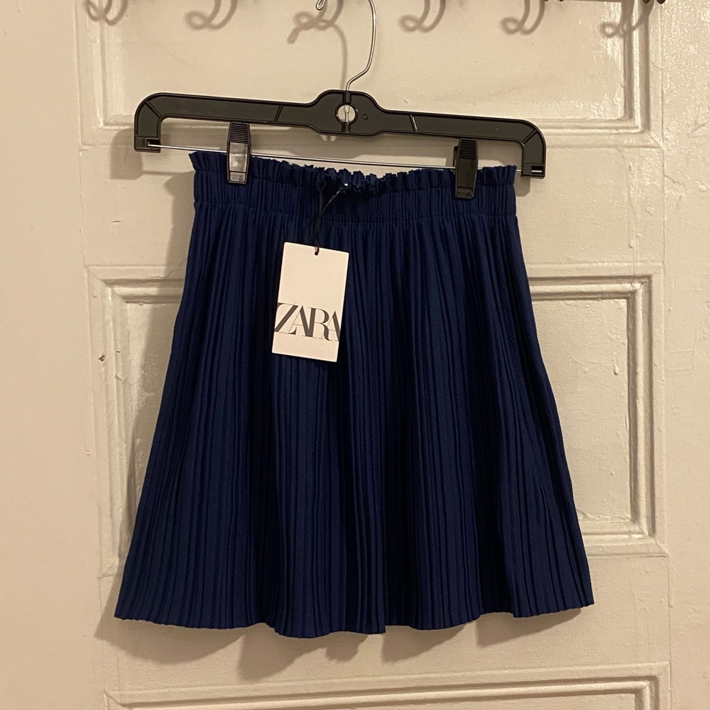 Never worn pleated Zara Skirt
